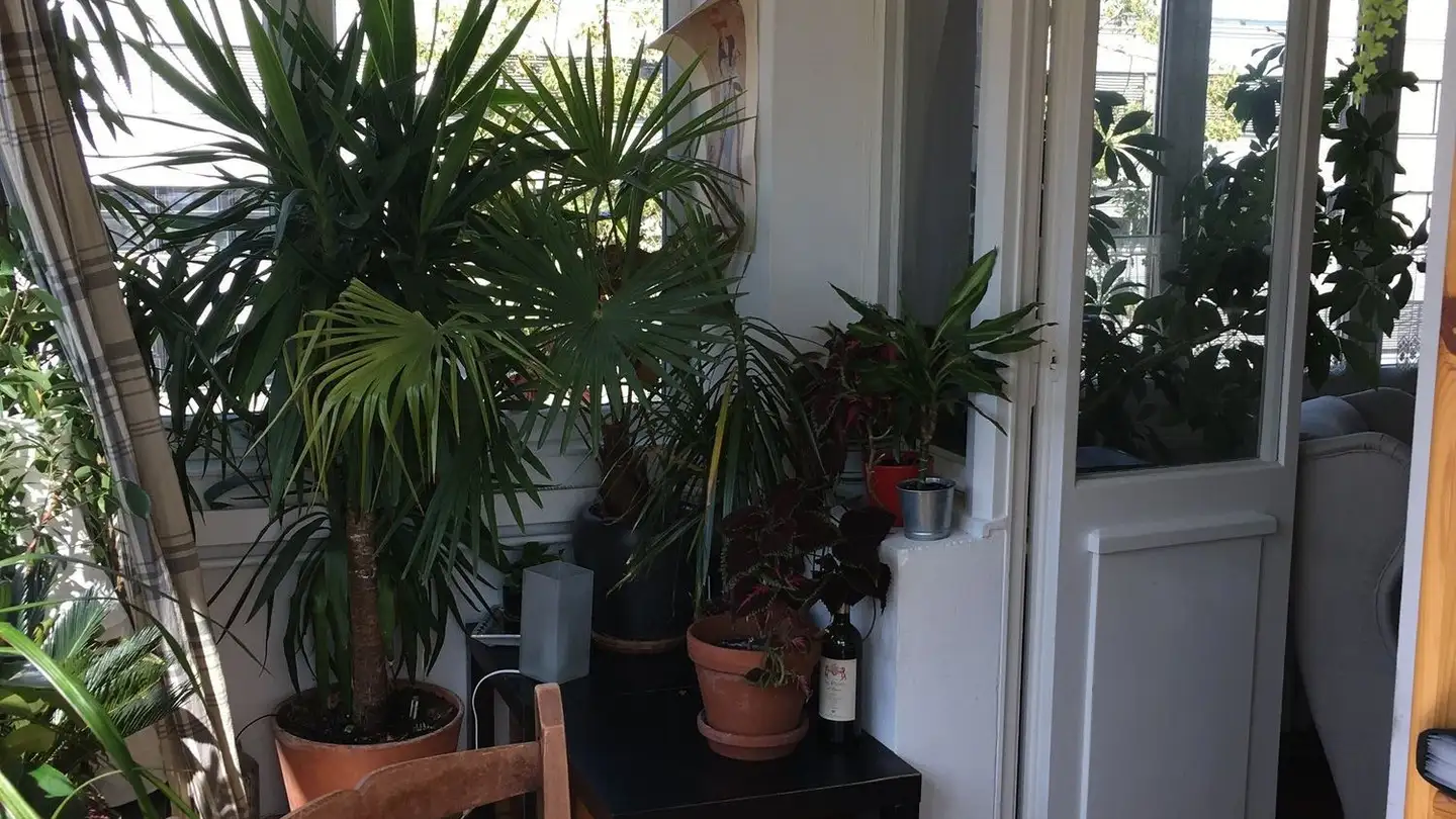 Studio in affitto - Murtenstrasse 7, 3008 Bern - Foto 3