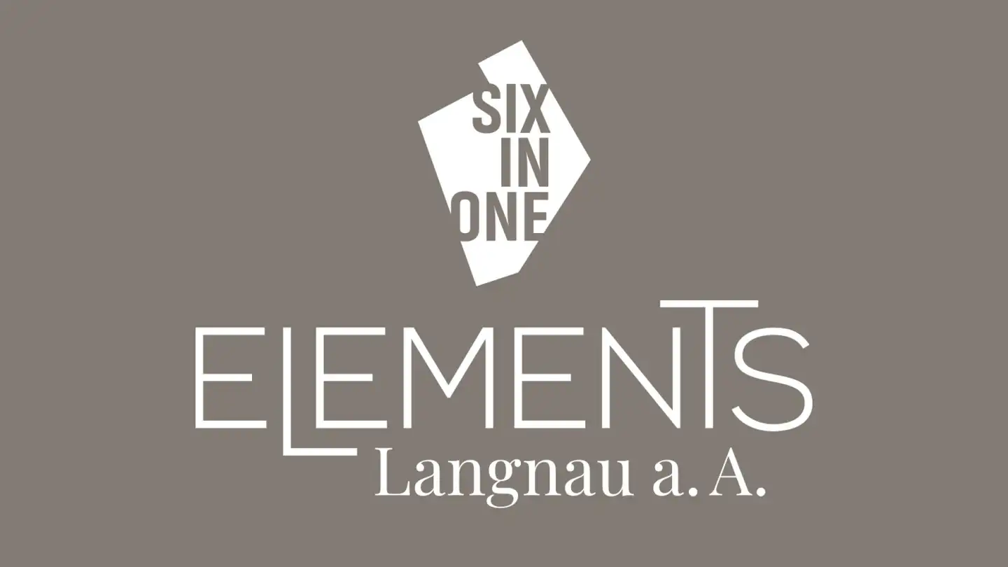 Villa in vendita - Mühlehaldenstrasse, 8135 Langnau am Albis - Photo 3