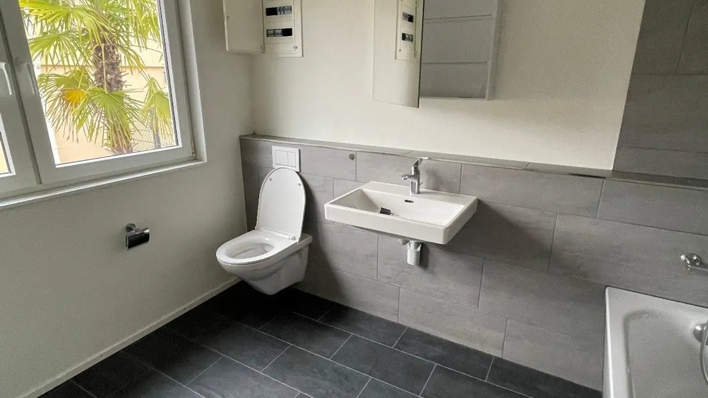 Appartement à vendre - 5524 Niederwil AG