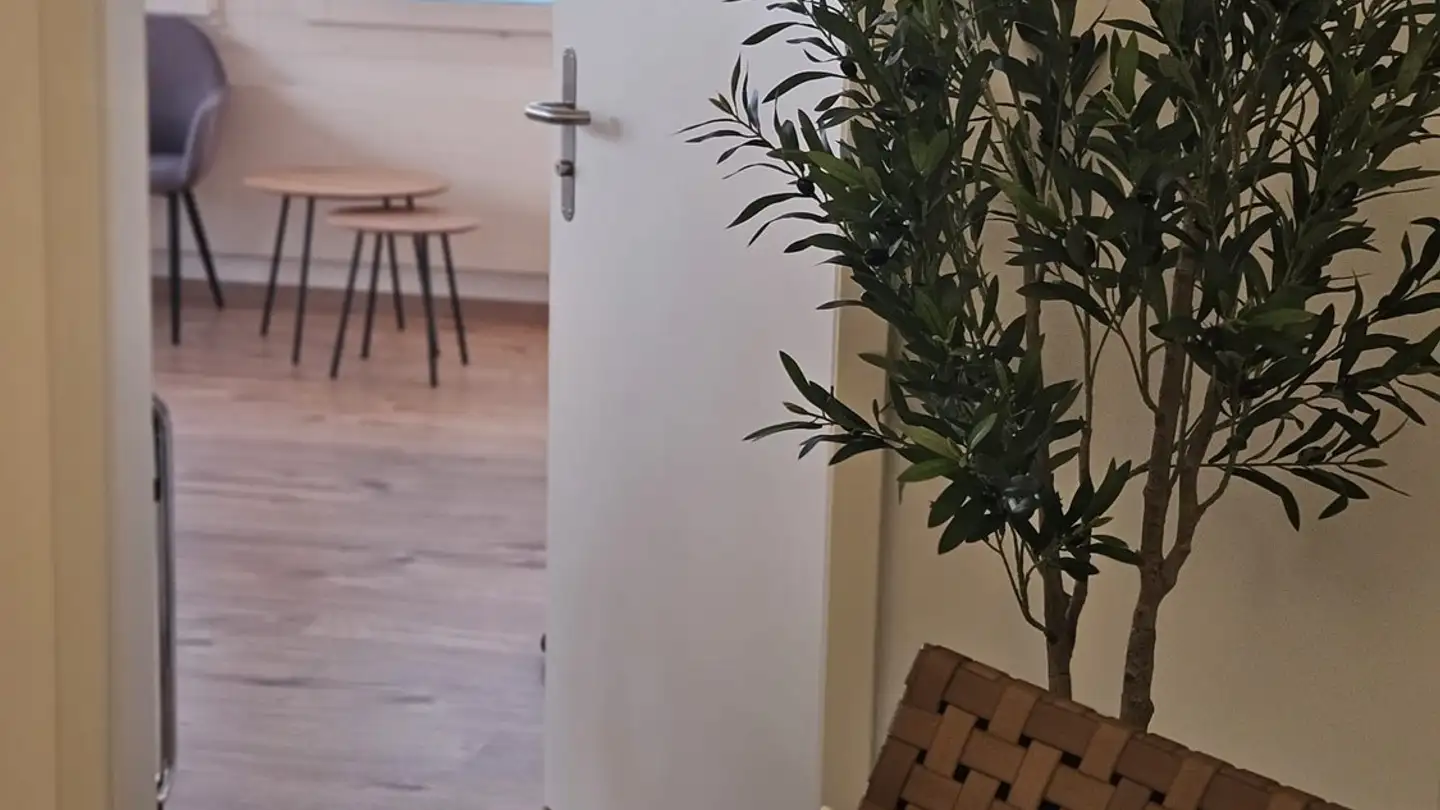 Commerciale in affitto - Hertistrasse 25, 8304 Wallisellen - Foto 2