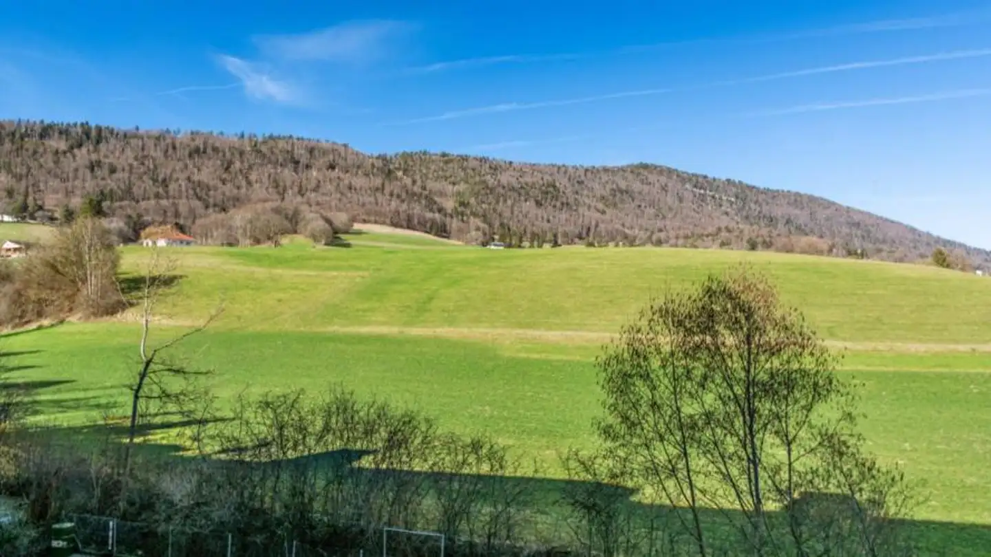 Appartement à louer - Orgerie 2K, 2742 Perrefitte - Photo 4