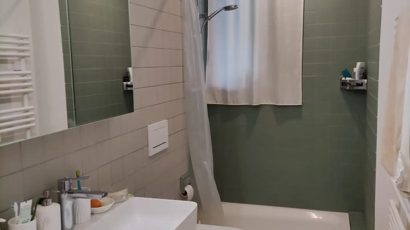 Single room for rent - Morgartenstrasse 17, 6003 Luzern - Photo 3