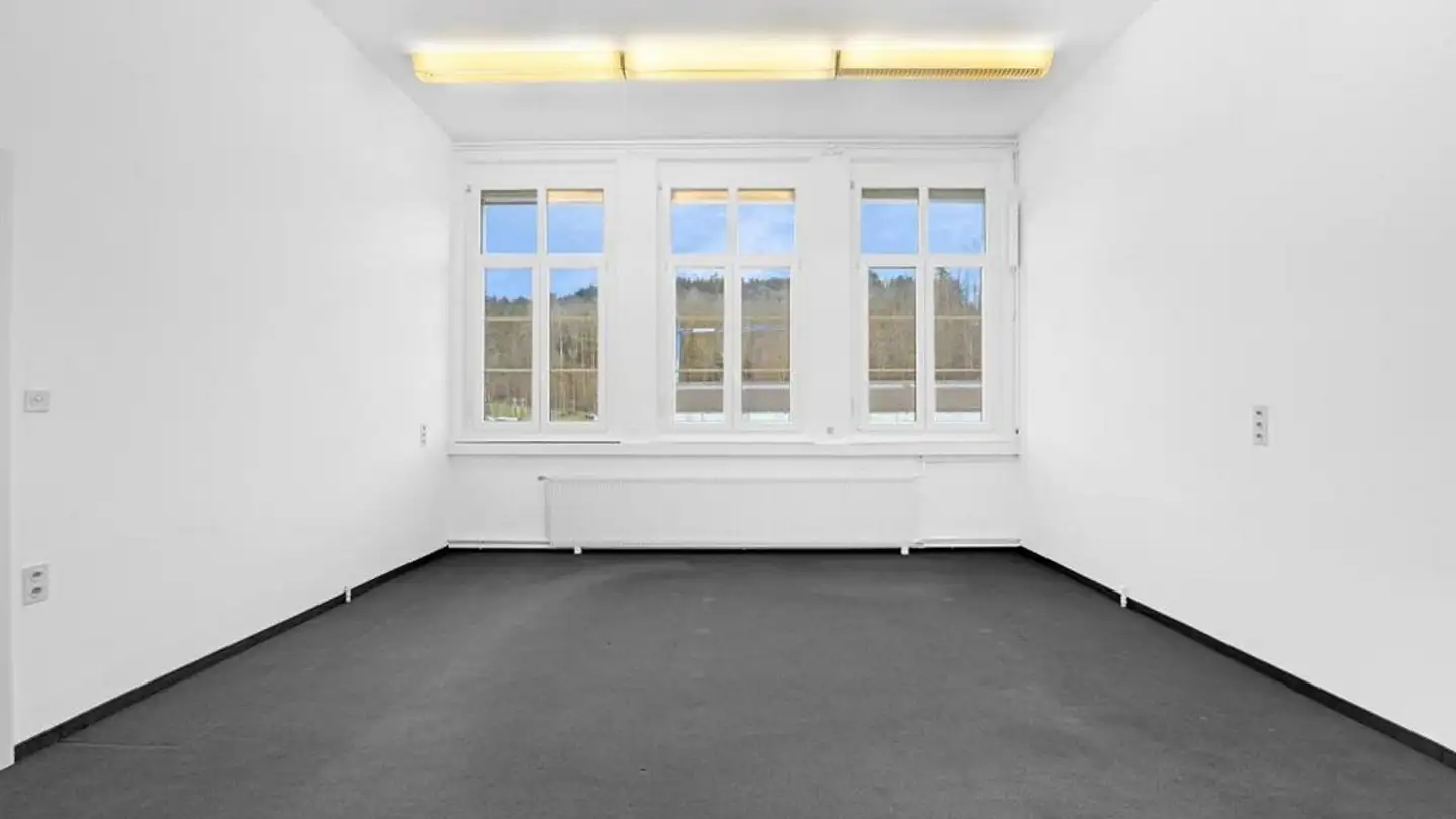 Office space for rent - Industriestrasse 6, 9220 Bischofszell