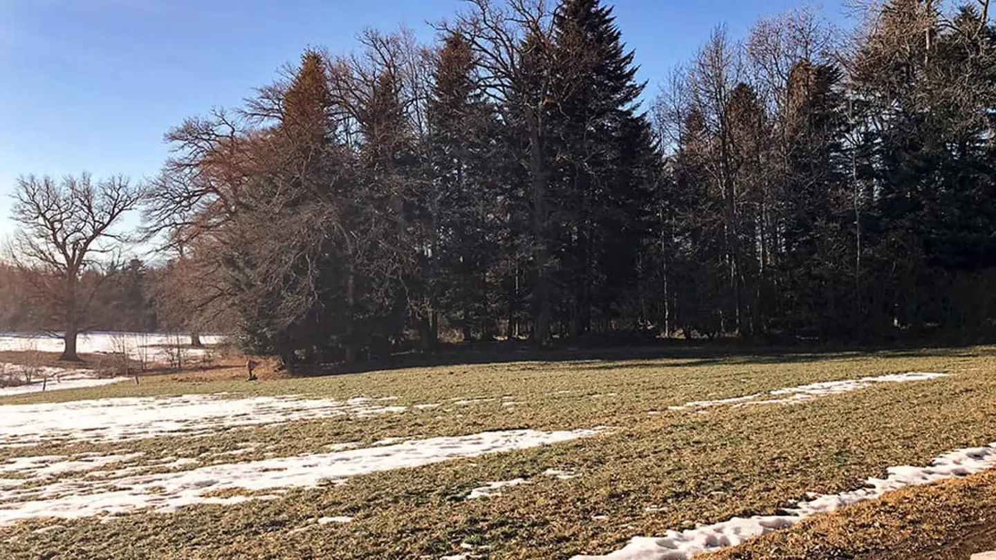 Casa singola in vendita - 1052 Le Mont-sur-Lausanne - Foto 2