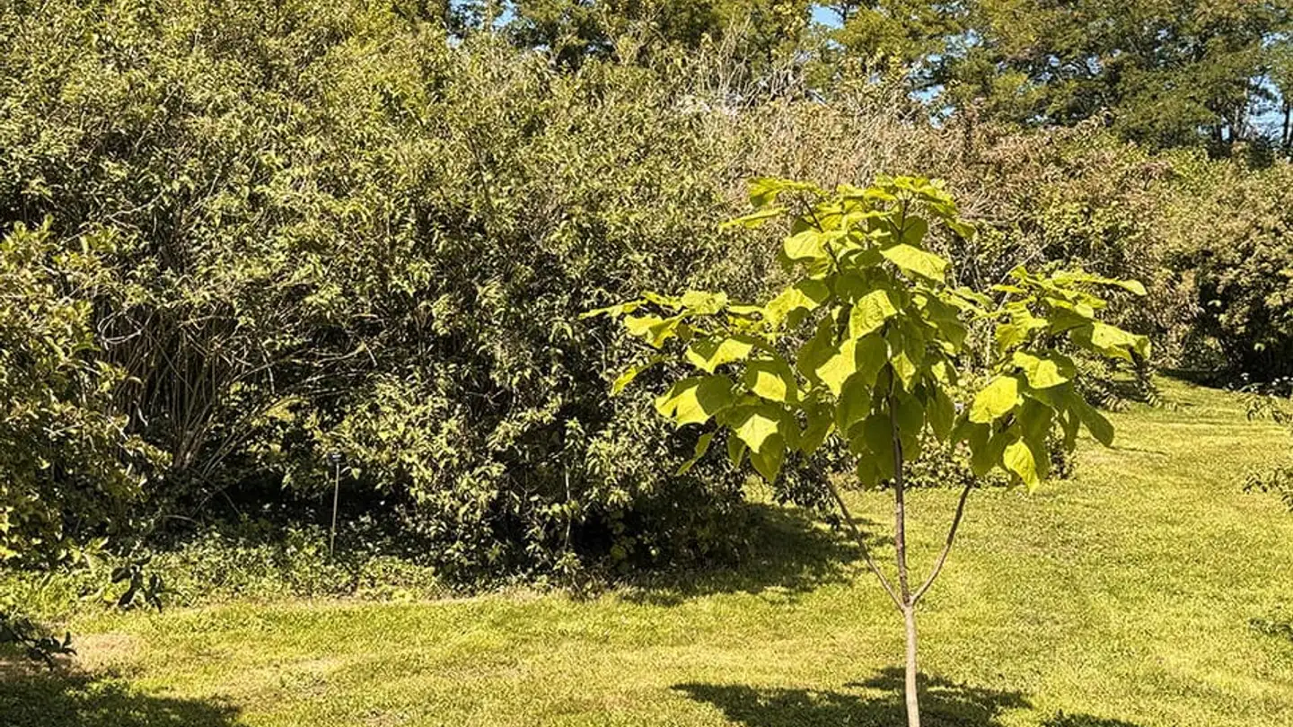 Casa singola in vendita - 1052 Le Mont-sur-Lausanne