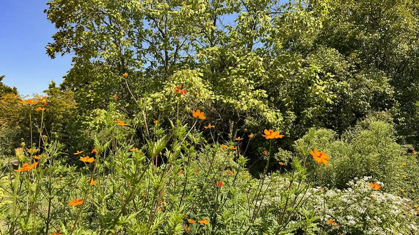 Casa singola in vendita - 1052 Le Mont-sur-Lausanne - Foto 3