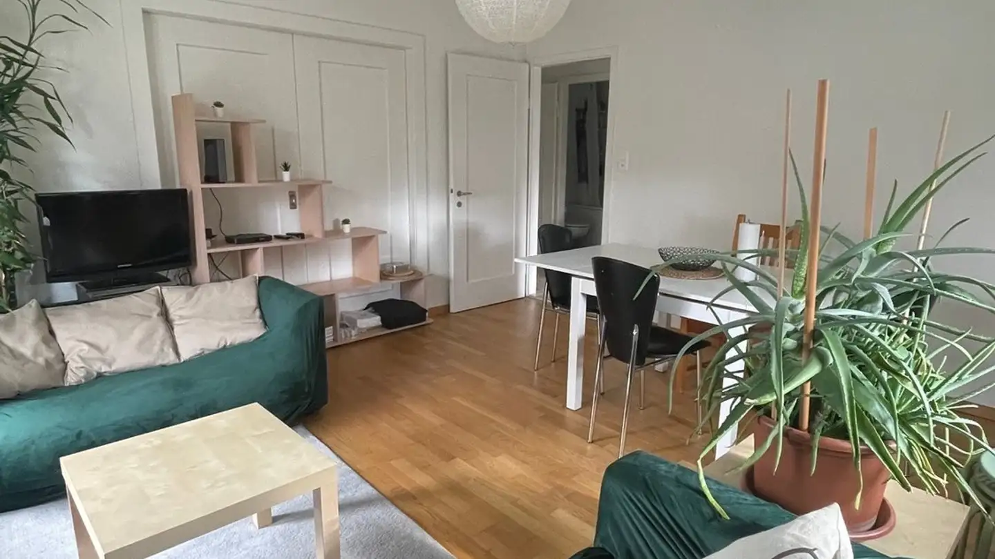 Appartamento in affitto - Friedensstrasse 85, 4600 Olten - Foto 3