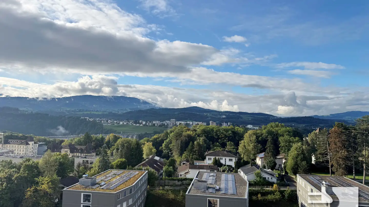 Loft à vendre - Route Des Arsenaux 28, 1700 Fribourg - Photo 2