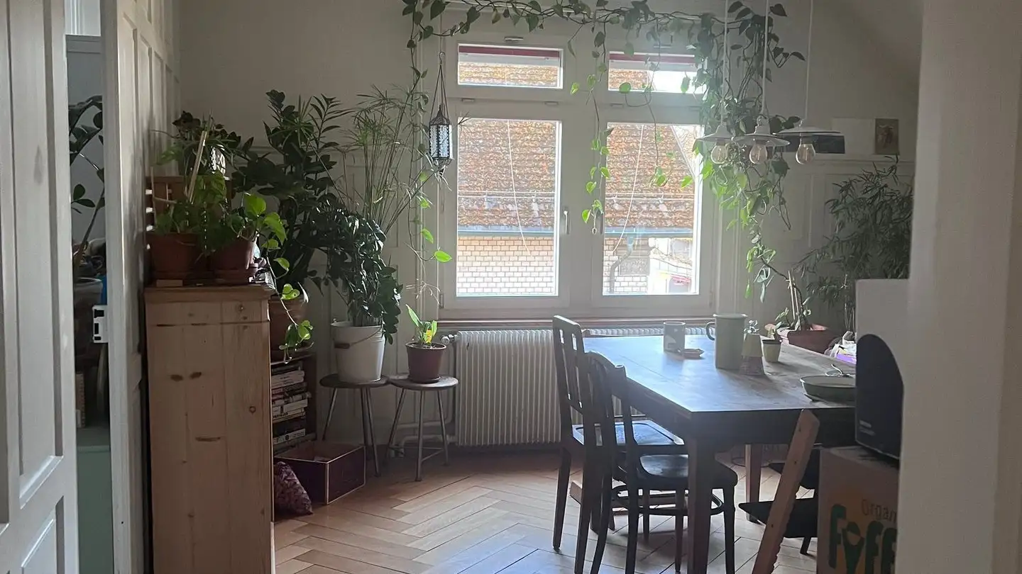 Wohnung mieten - Schwalmenackerstrasse 14, 8400 Winterthur - Foto 2