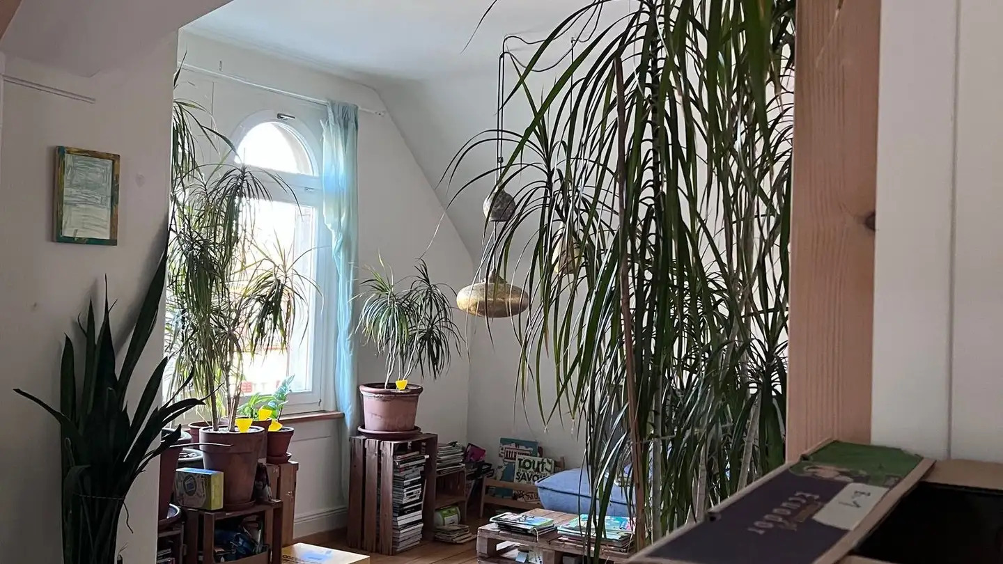 Wohnung mieten - Schwalmenackerstrasse 14, 8400 Winterthur - Foto 3