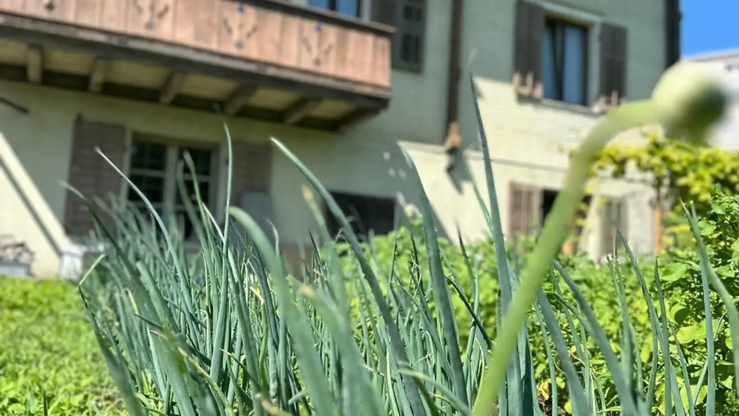 Single room for rent - Dietschibergstrasse 4, 6043 Adligenswil - Photo 2