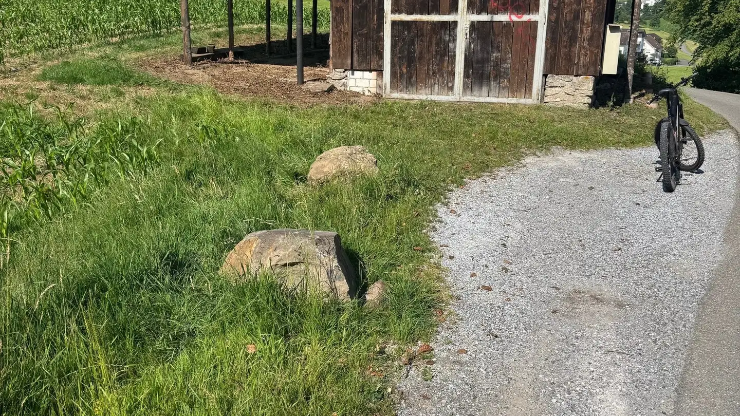 Commercial for rent - 8807 Freienbach