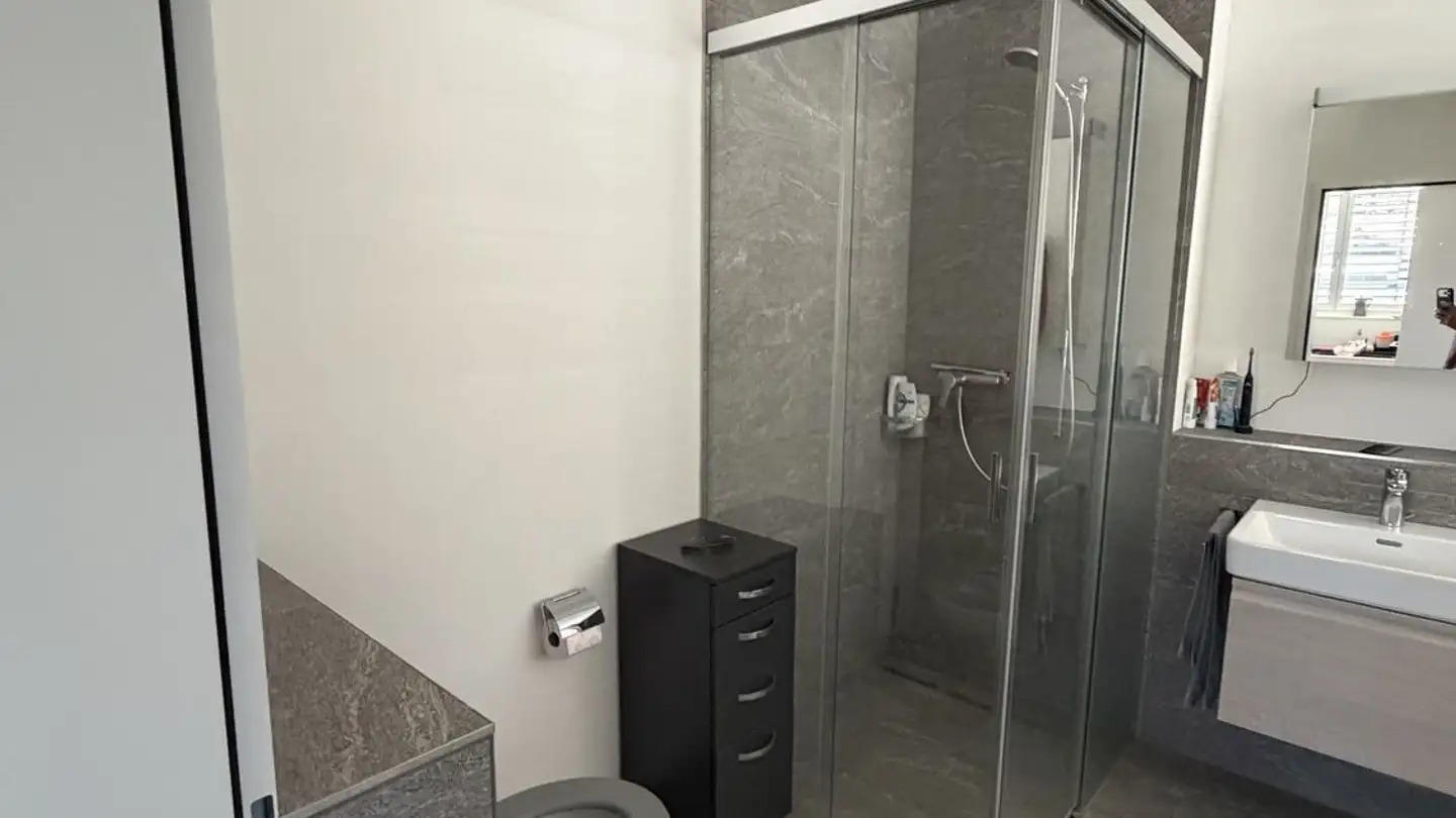 Appartamento ammobiliato in affitto - Leuengasse 61, 8142 Uitikon Waldegg - Foto 2
