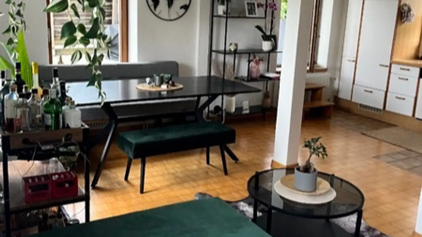 Appartamento in affitto - 8820 Wädenswil