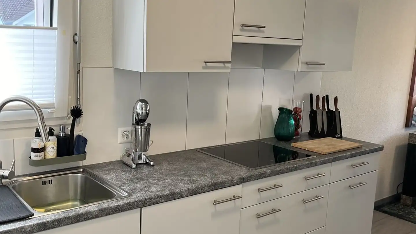 Single room for rent - Verenastrasse 29, 8832 Wollerau - Photo 3