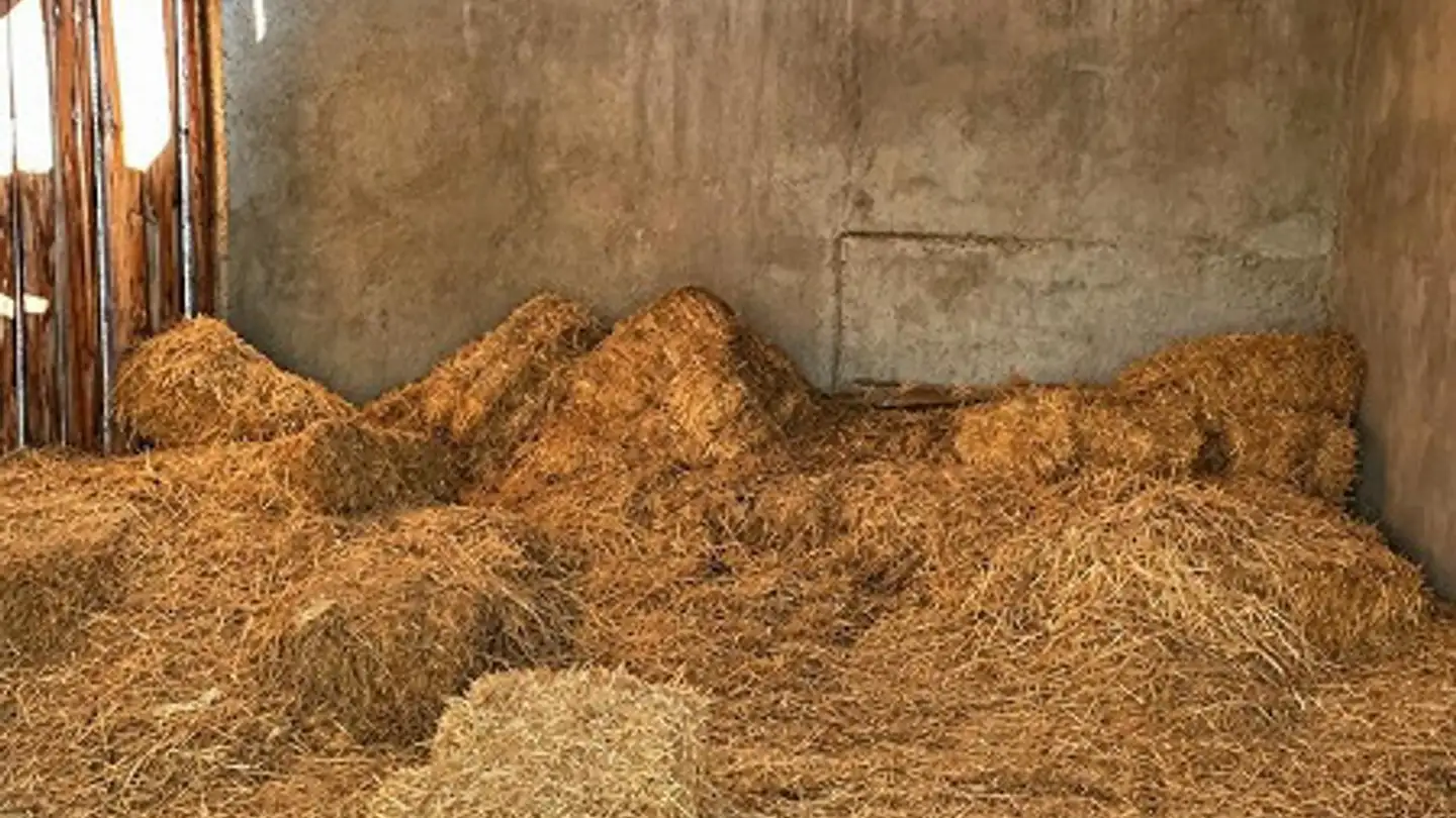 Entreprise agricole à vendre - 3949 Hohtenn - Photo 4