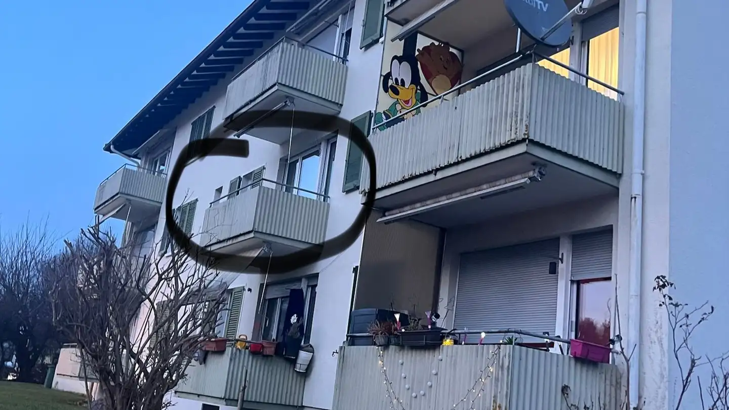 Appartamento in affitto - Winkelstrasse 33, 5734 Reinach AG