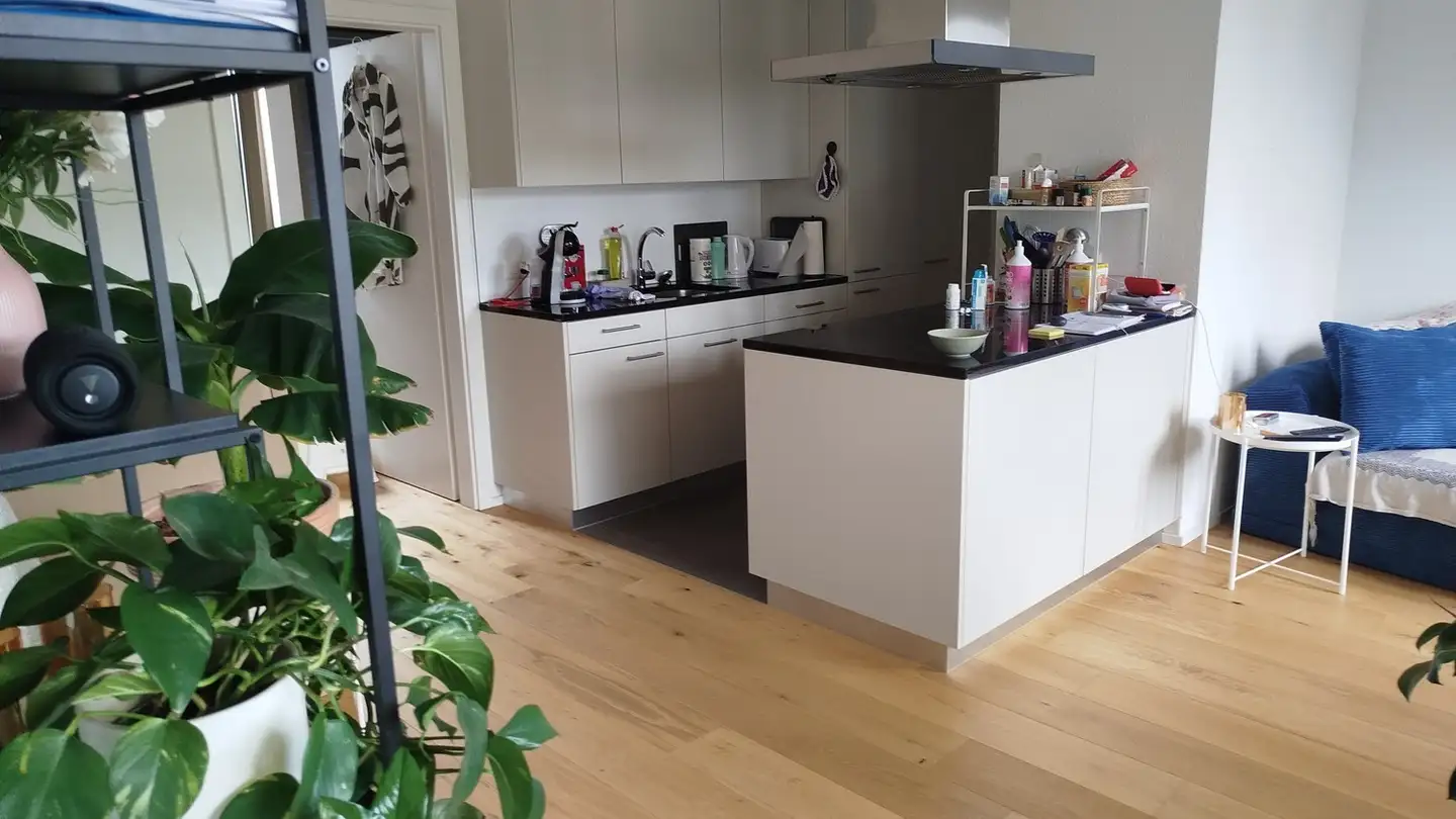 Wohnung mieten - Bahnhofstrasse 45, 3400 Burgdorf - Foto 2