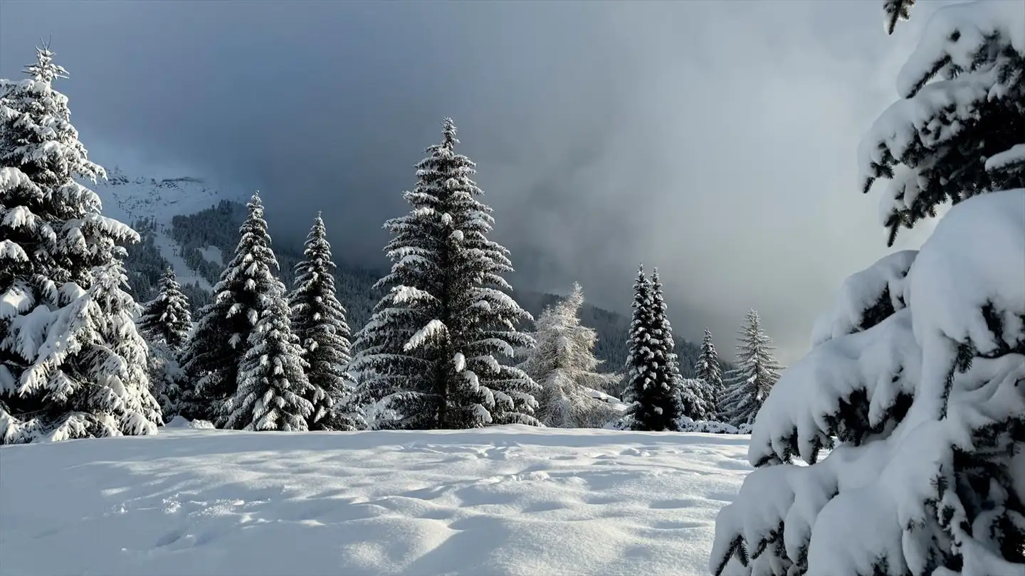 Appartamento in vendita - Chemin Des Esserts, 1936 Verbier - Photo 4