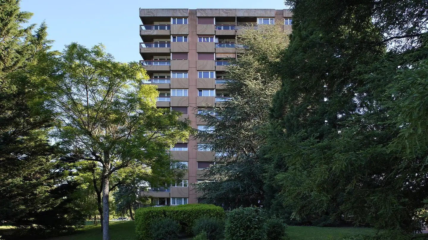 Outdoor parking space for rent - Rue Des Lattes 65, 1217 Meyrin