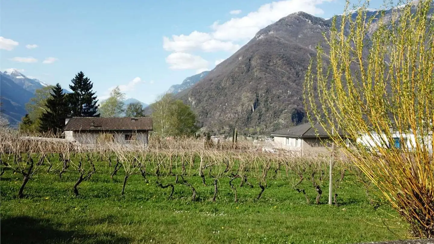 Terrain constructible à vendre - Via Alle Cascine 7, 6517 Arbedo