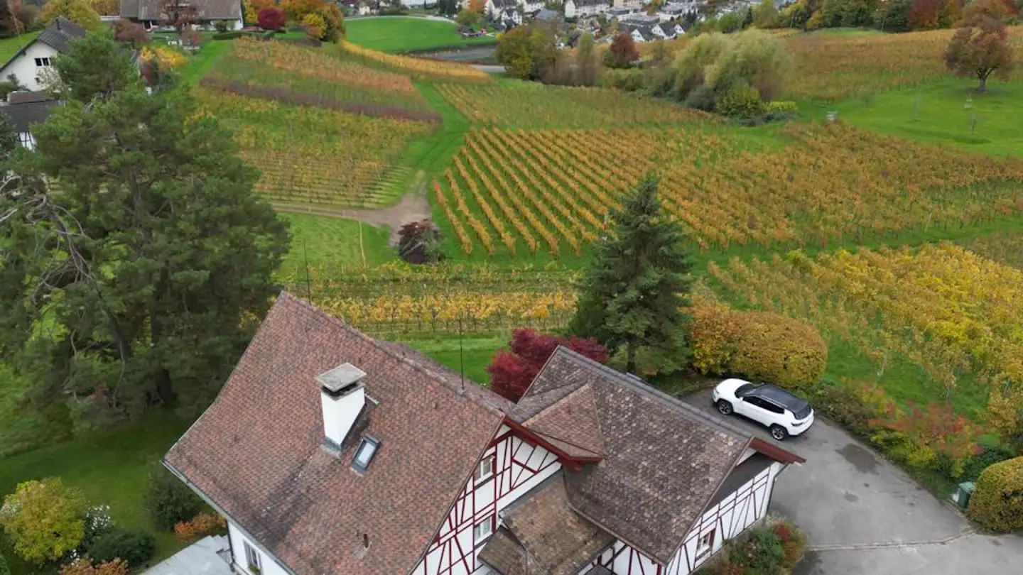 Casa singola in affitto - Dachslerenstrasse 11, 8712 Stäfa - Foto 2