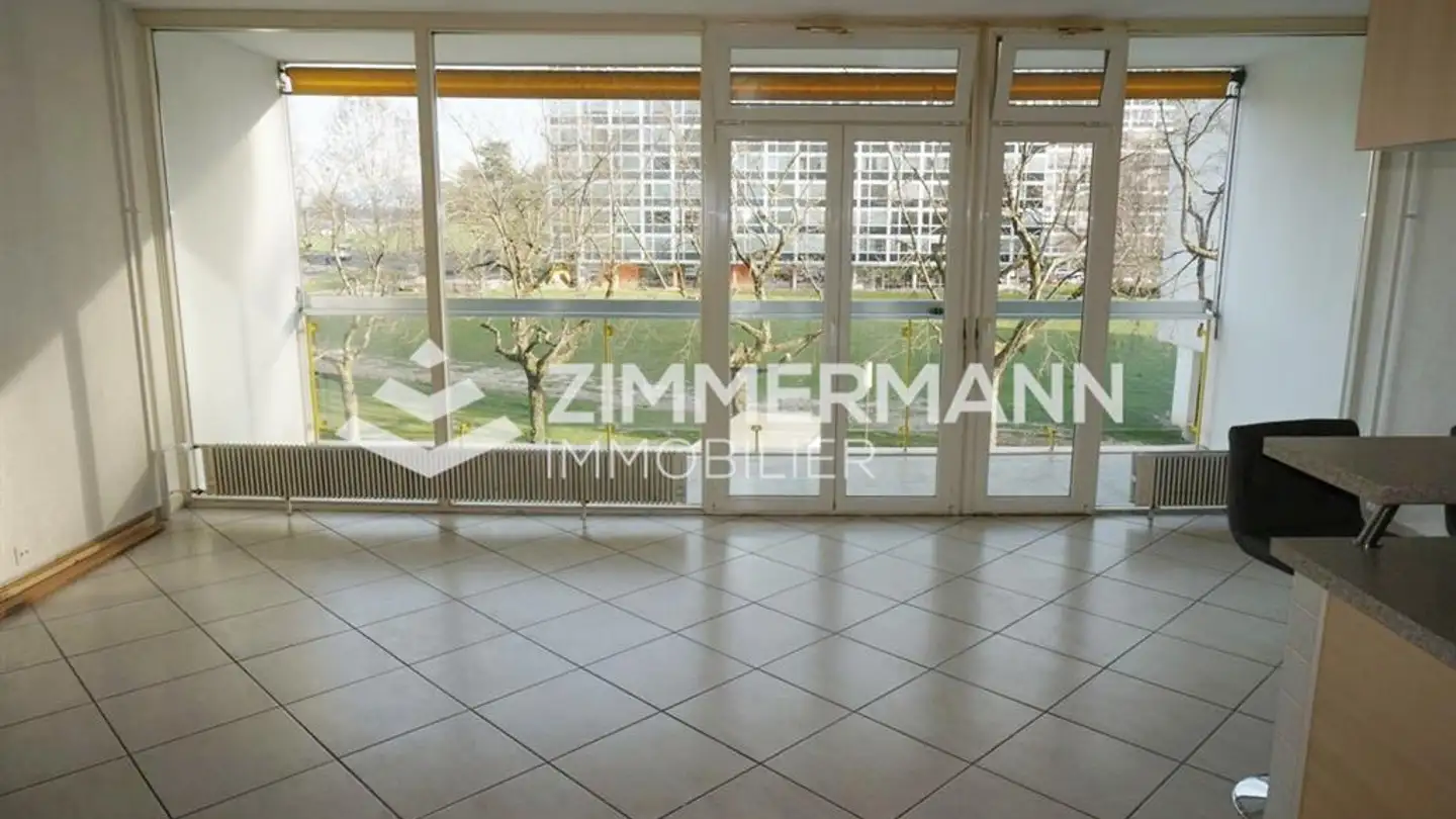 Appartamento in affitto - Avenue Sainte-Cécile, 1217 Meyrin - Foto 3