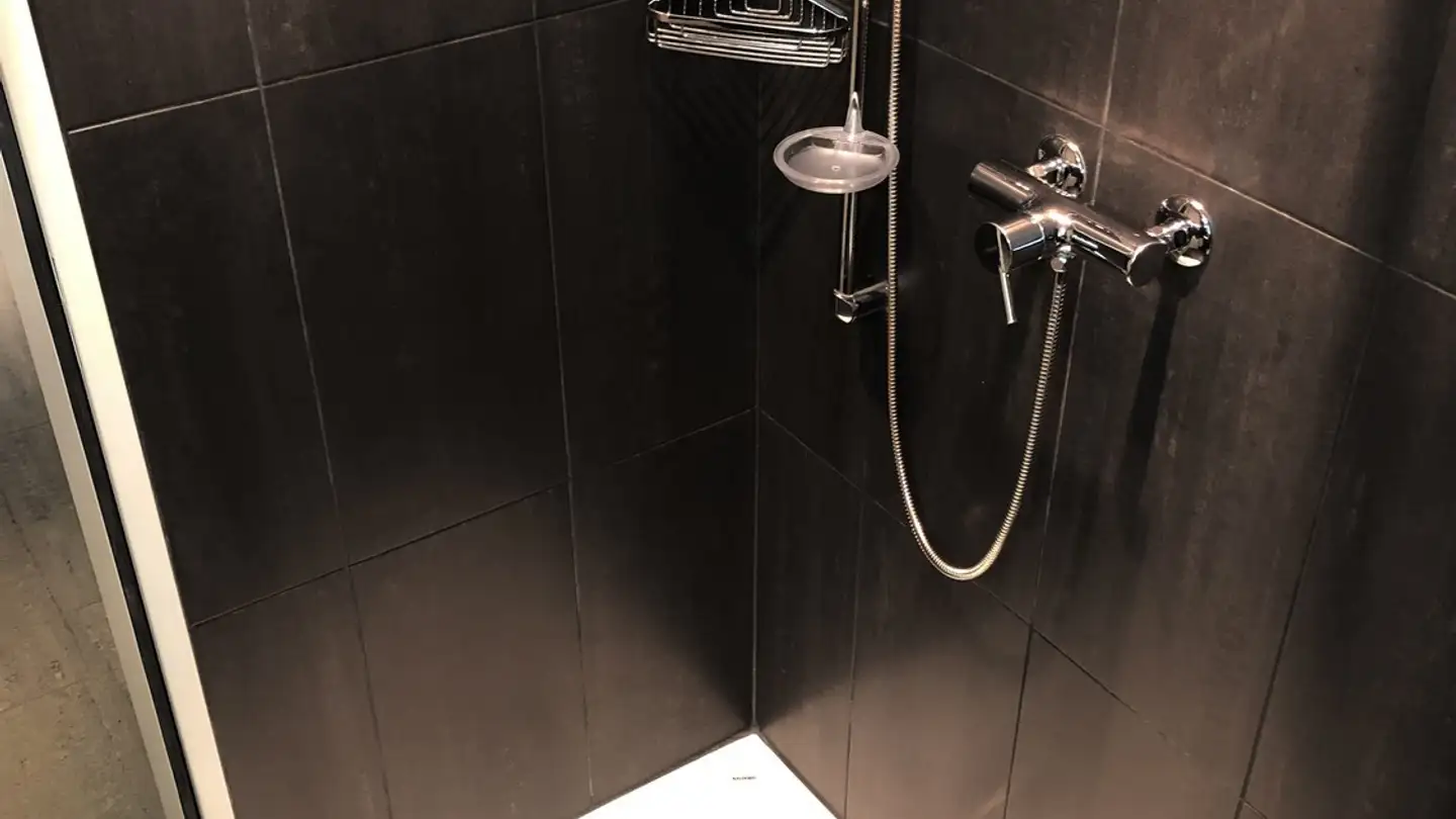 Commerciale in affitto - Max Gubler-Strasse 26, 8103 Unterengstringen - Photo 3