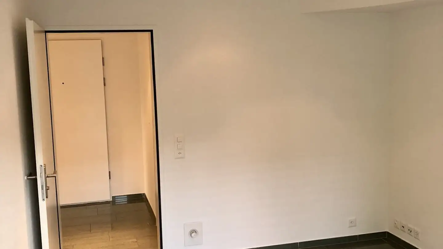 Commerciale in affitto - Max Gubler-Strasse 26, 8103 Unterengstringen - Photo 4