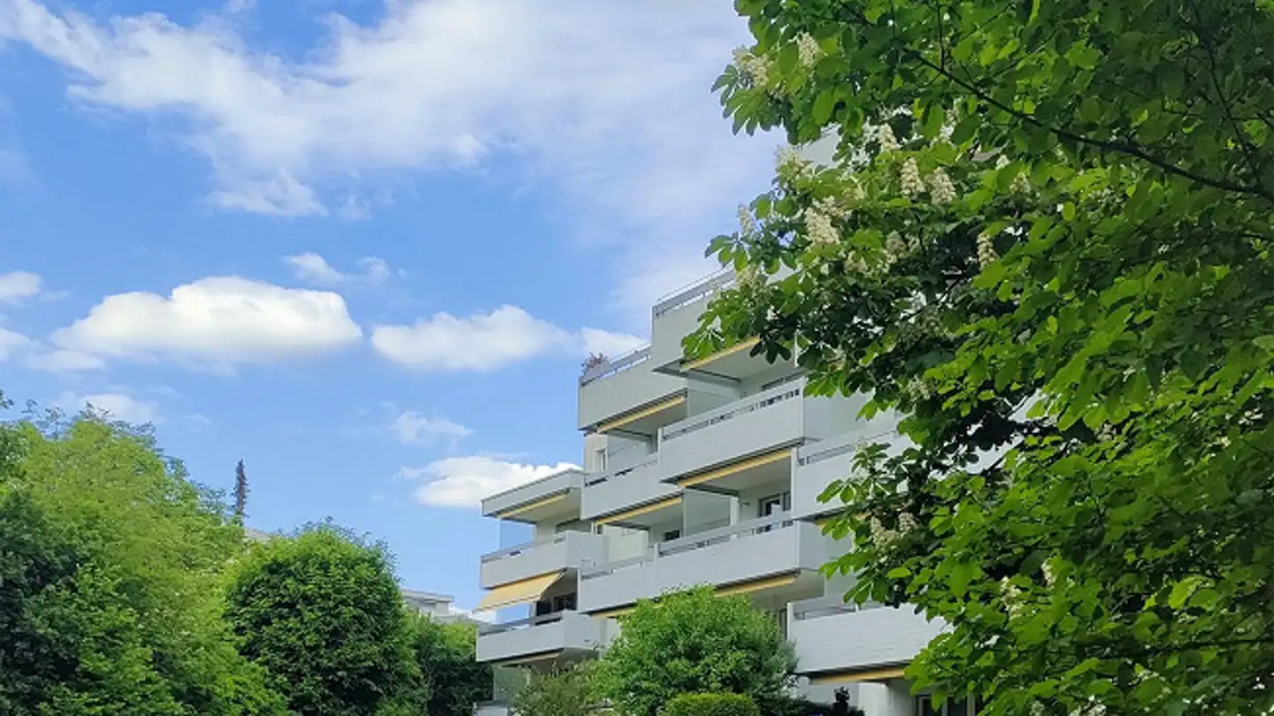 Wohnung mieten - Bergholzstrasse 21, 9500 Wil SG