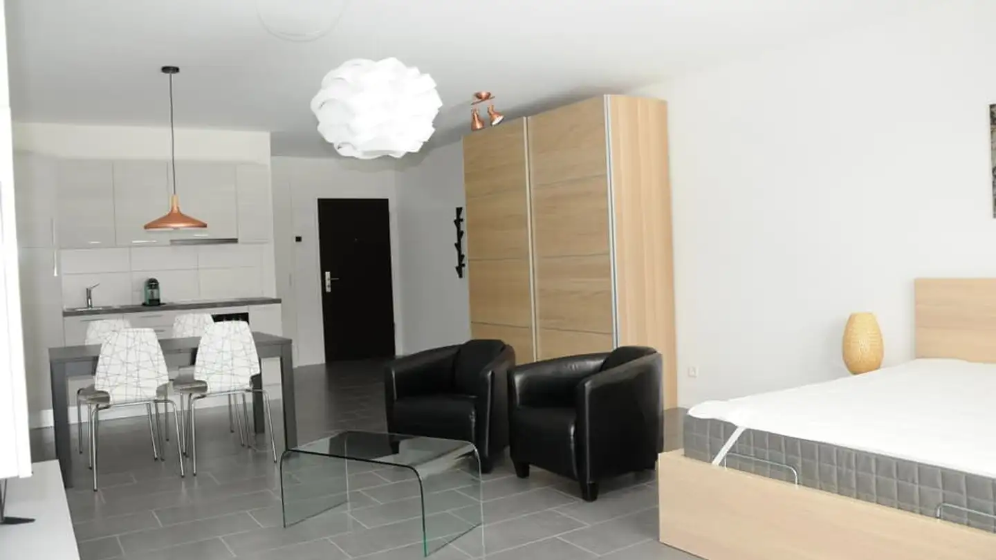 Appartamento in affitto - Route De Berne 111, 1010 Lausanne