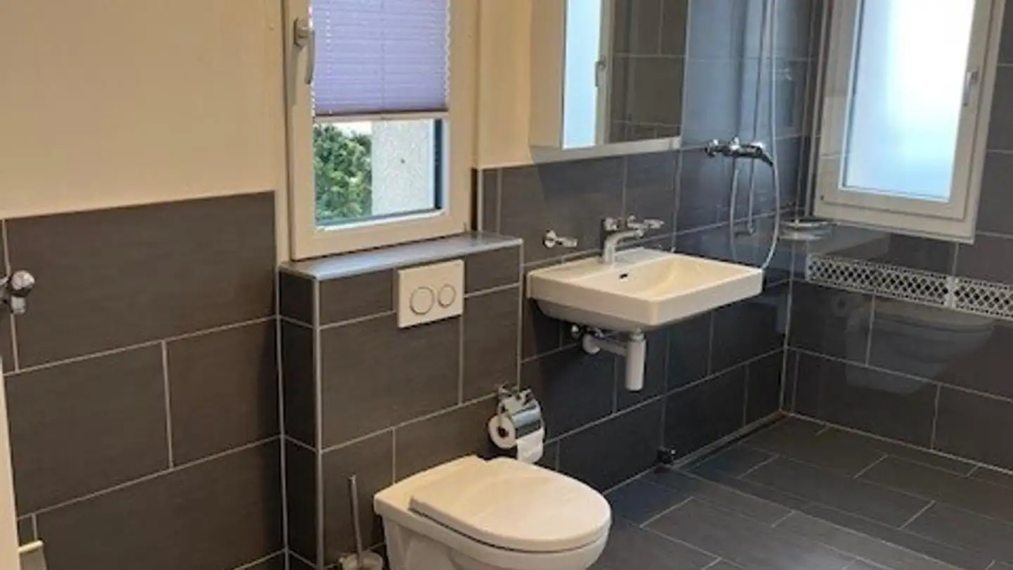 Appartamento in affitto - Route De La Gruyère 2, 1634 La Roche FR - Foto 4