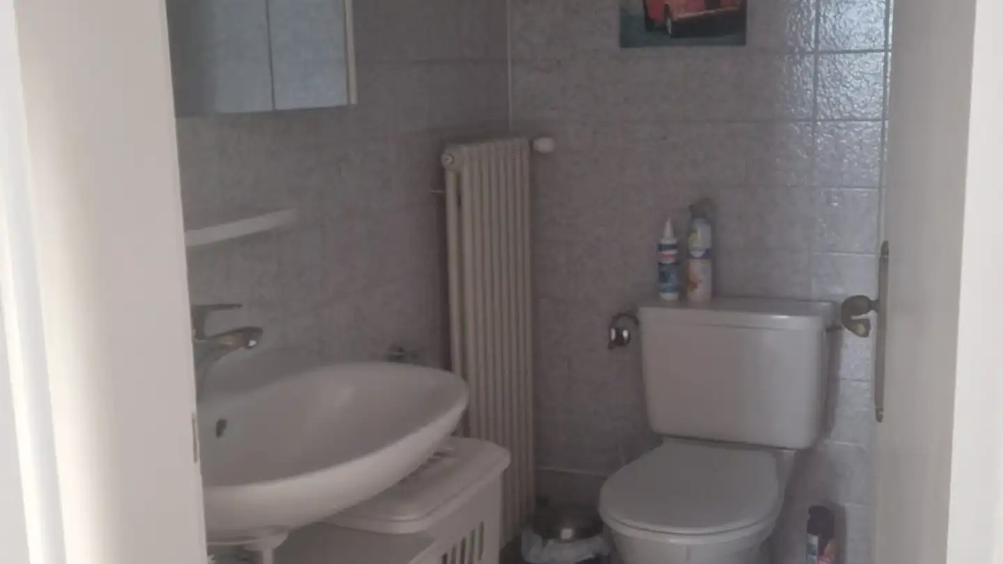Appartamento ammobiliato in affitto - Carrà Dei Nasi 10, 6612 Ascona - Foto 4