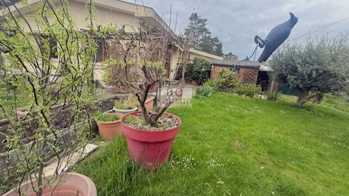 Single house for sale - Promenade des Champs-Fréchets, 1217 Meyrin - Photo 4