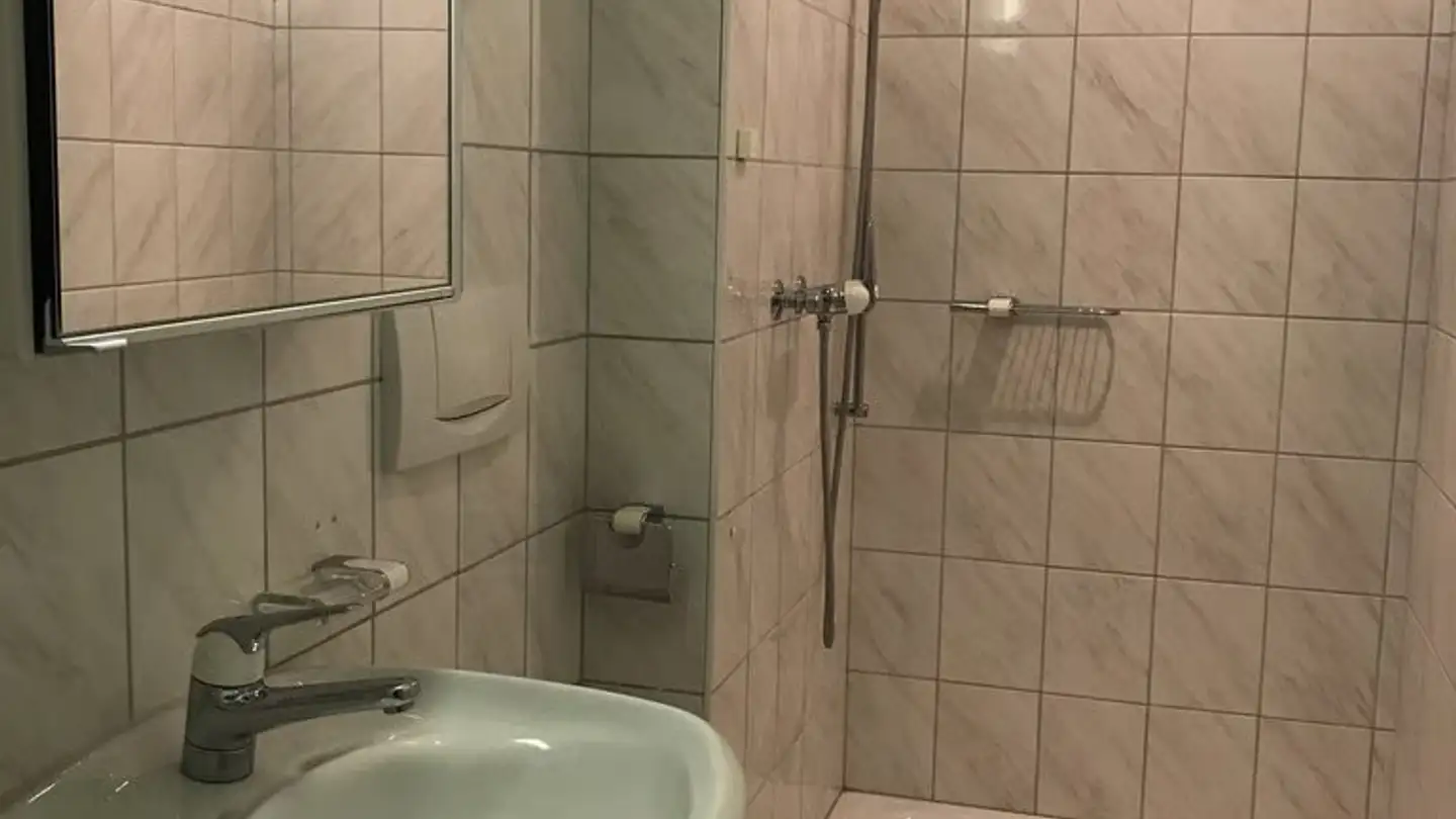 Apartment for rent - Schlierenstrasse 50, 8142 Uitikon Waldegg - Photo 4