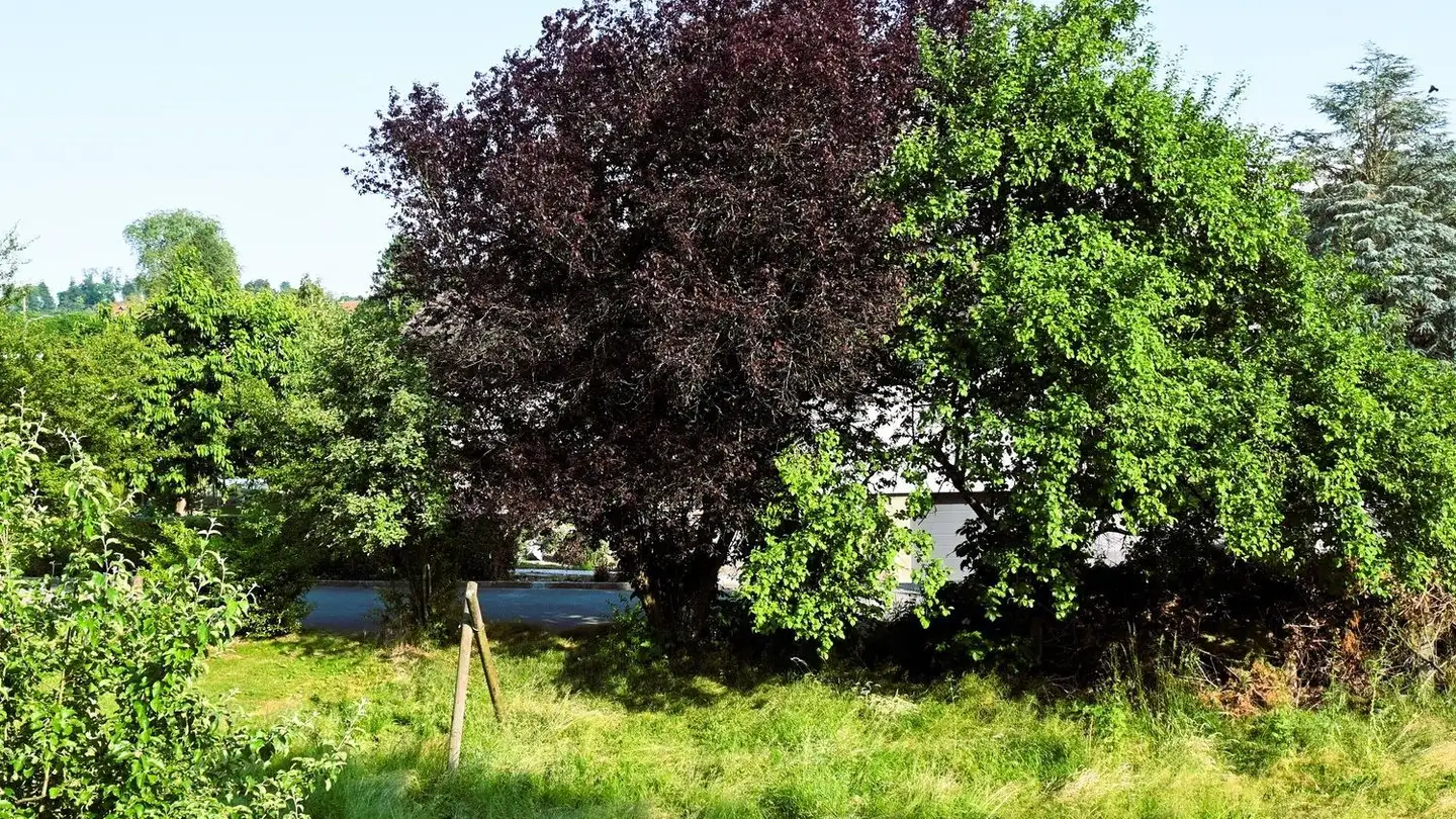 Appartamento in affitto - Neue Bahnhofstrasse 21, 3297 Leuzigen - Photo 2