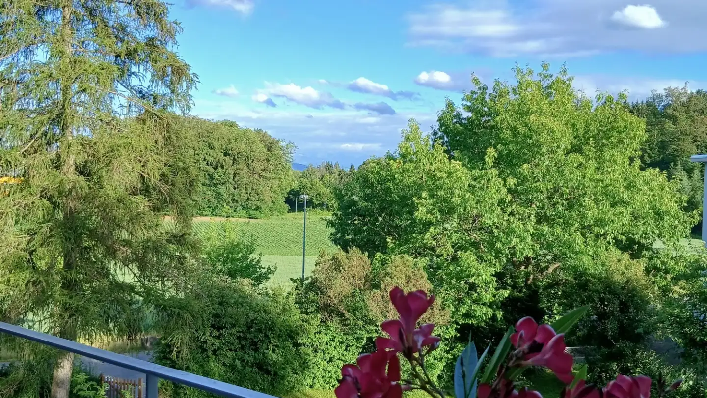 Appartement à louer - Thunstrasse 192, 3074 Muri b. Bern - Photo 2