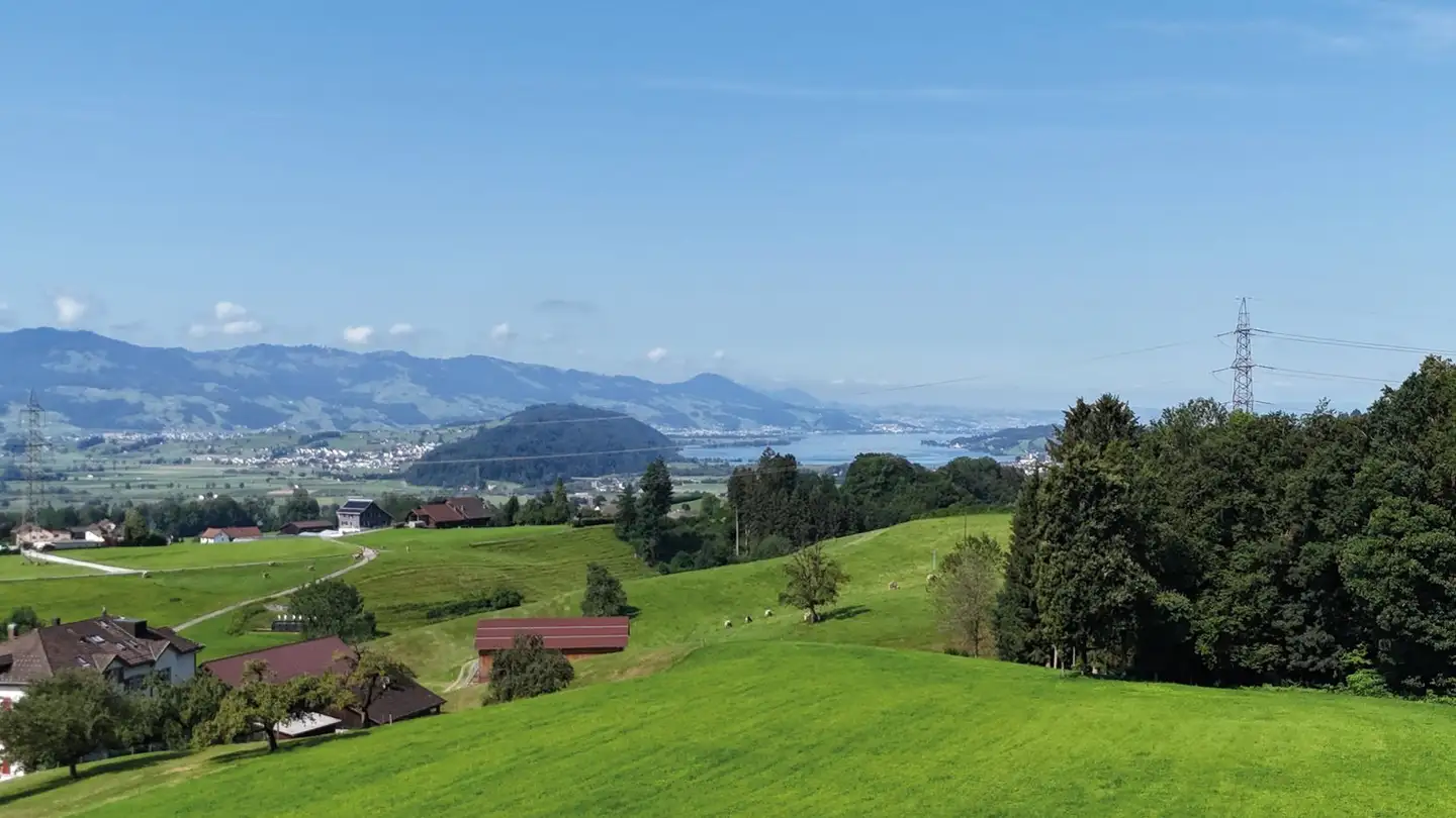 Apartment for sale - Herrengasse, 8737 Gommiswald