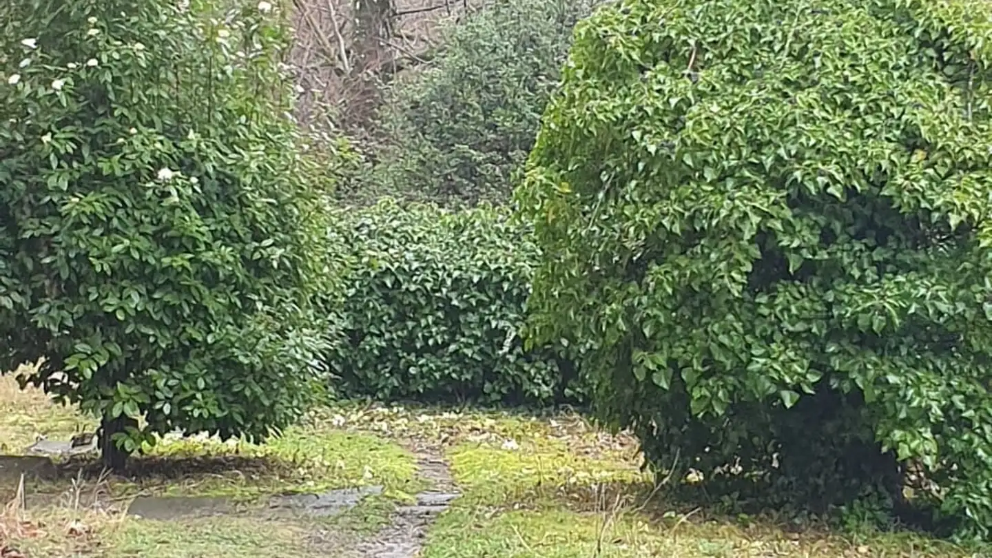 Single room for rent - 1012 Lausanne