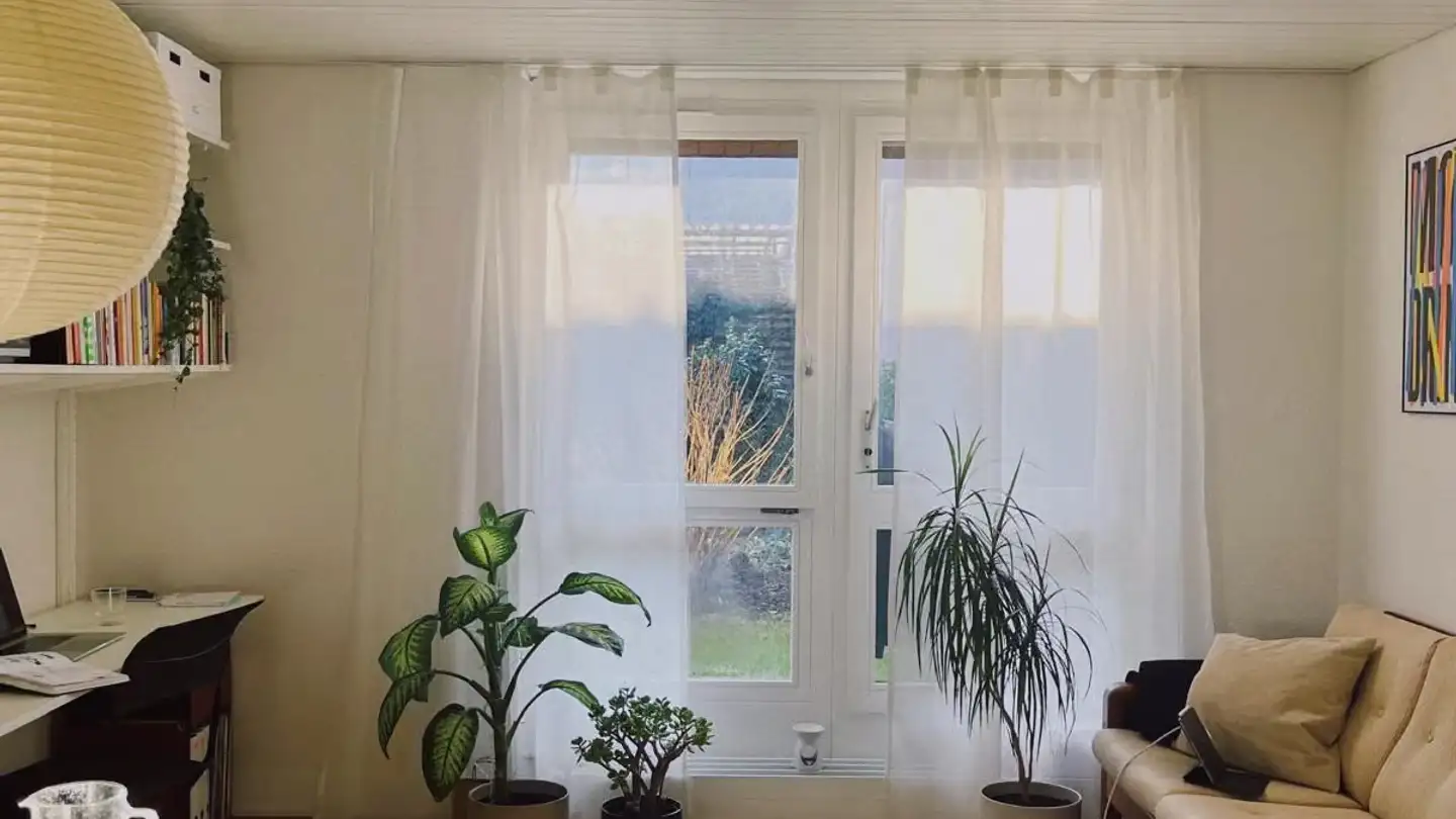 Studio mieten - 5000 Aarau