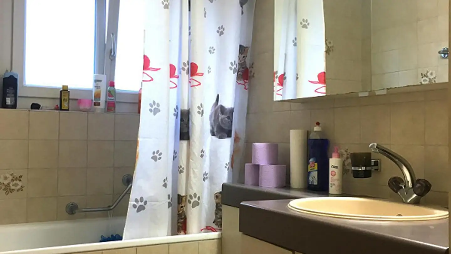 Wohnung mieten - Lochstrasse 36, 8200 Schaffhausen - Foto 3