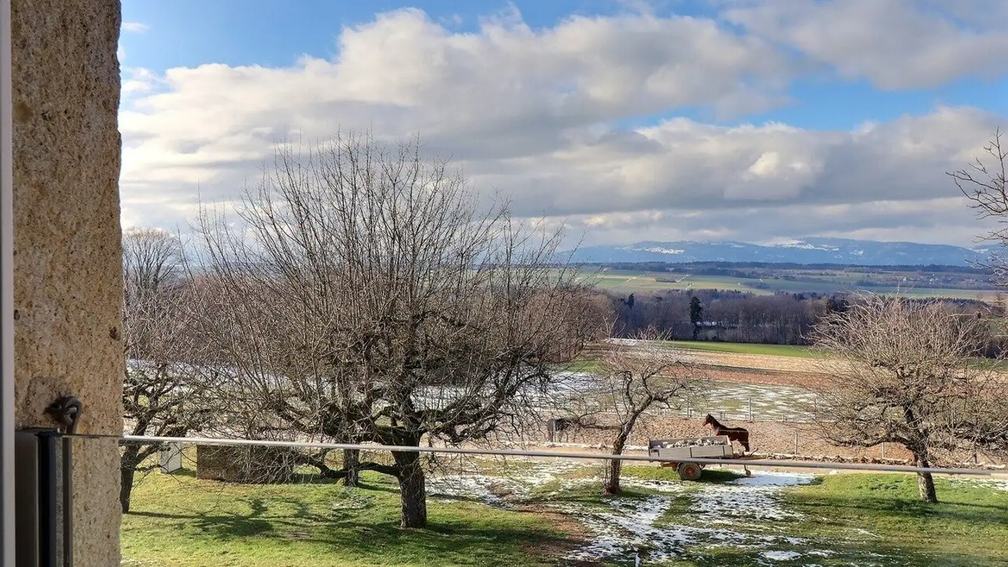 Appartement à louer - Chemin De La Roche À Roux 5, 1045 Ogens