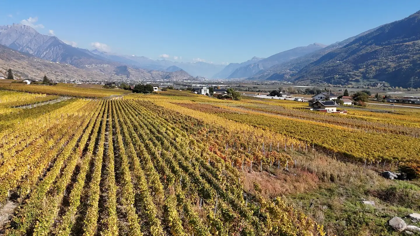 Villa for sale - Impasse Dixence 21, 1955 St-Pierre-de-Clages - Photo 4