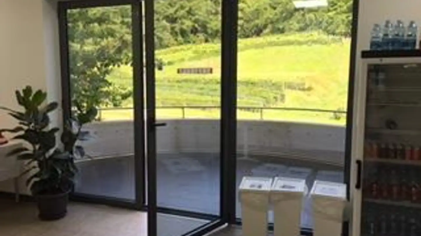Gewerbe kaufen - 6850 Mendrisio