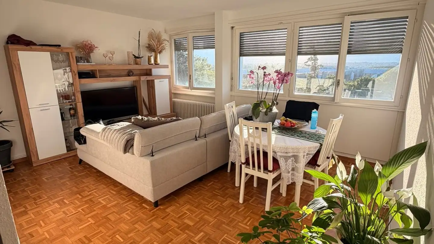 Apartment for rent - Chemin Auguste- Vilbert 30, 1218 Le Grand-Saconnex
