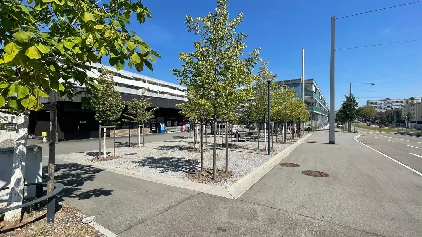 Bürofläche mieten - Badenerstrasse 116, 8952 Schlieren - Foto 3