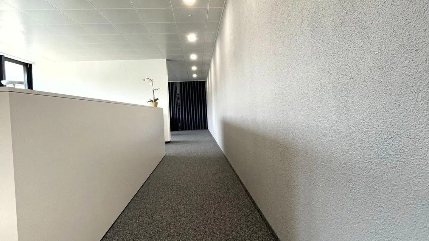 Bürofläche mieten - Badenerstrasse 116, 8952 Schlieren - Foto 4