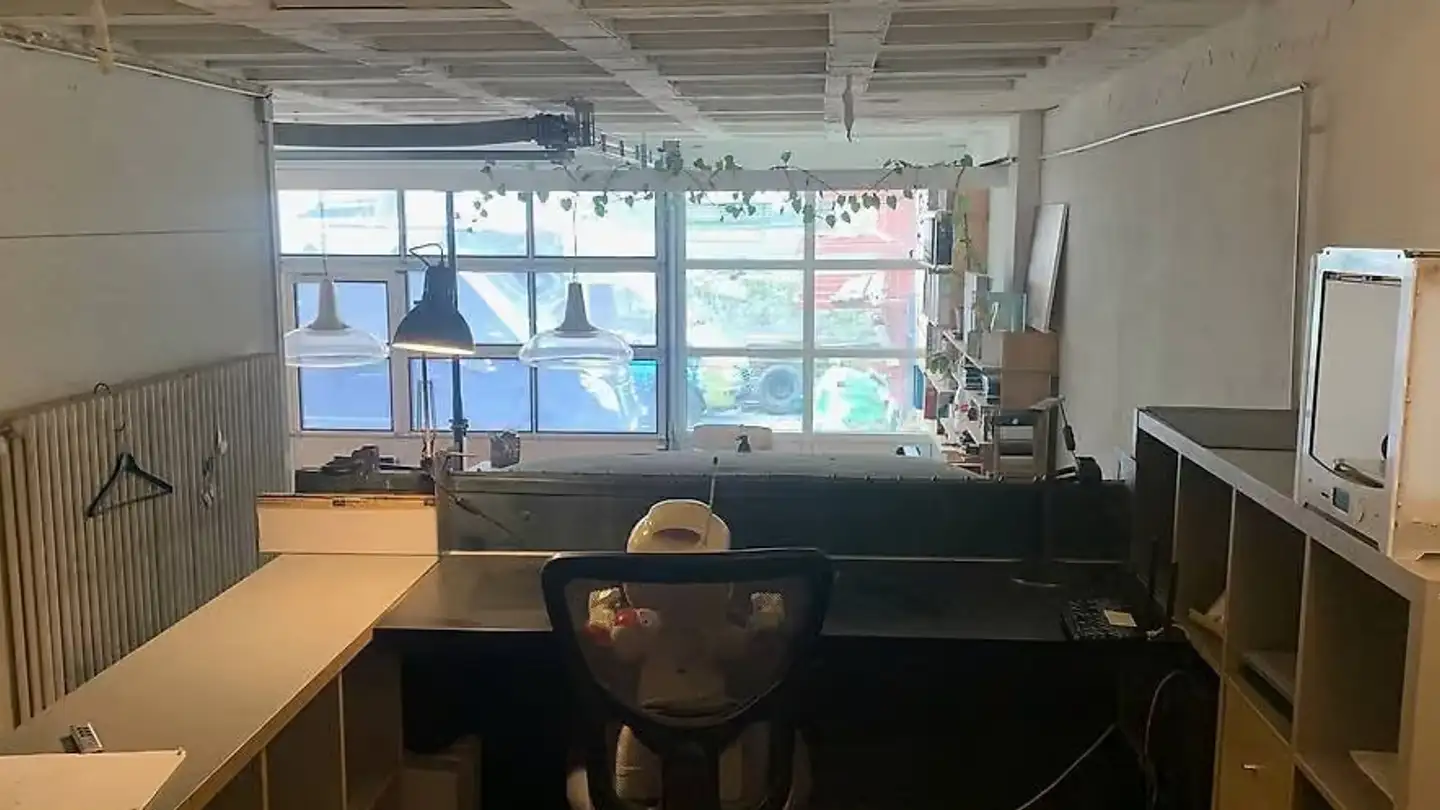 Appartement à louer - Rue Des Moulins-Raichlen 6, 1205 Genève