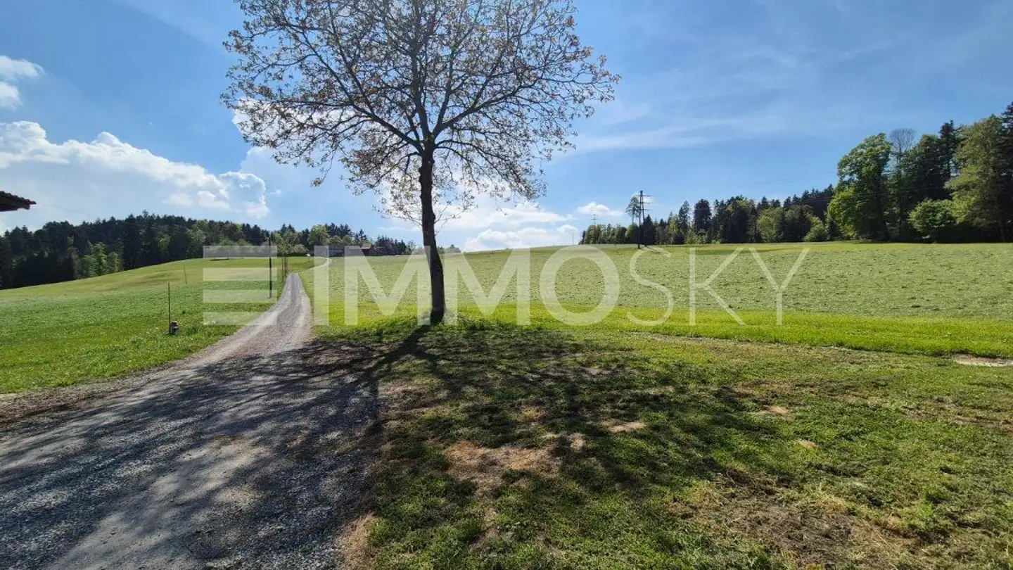 Appartamento in affitto - 9032 Engelburg