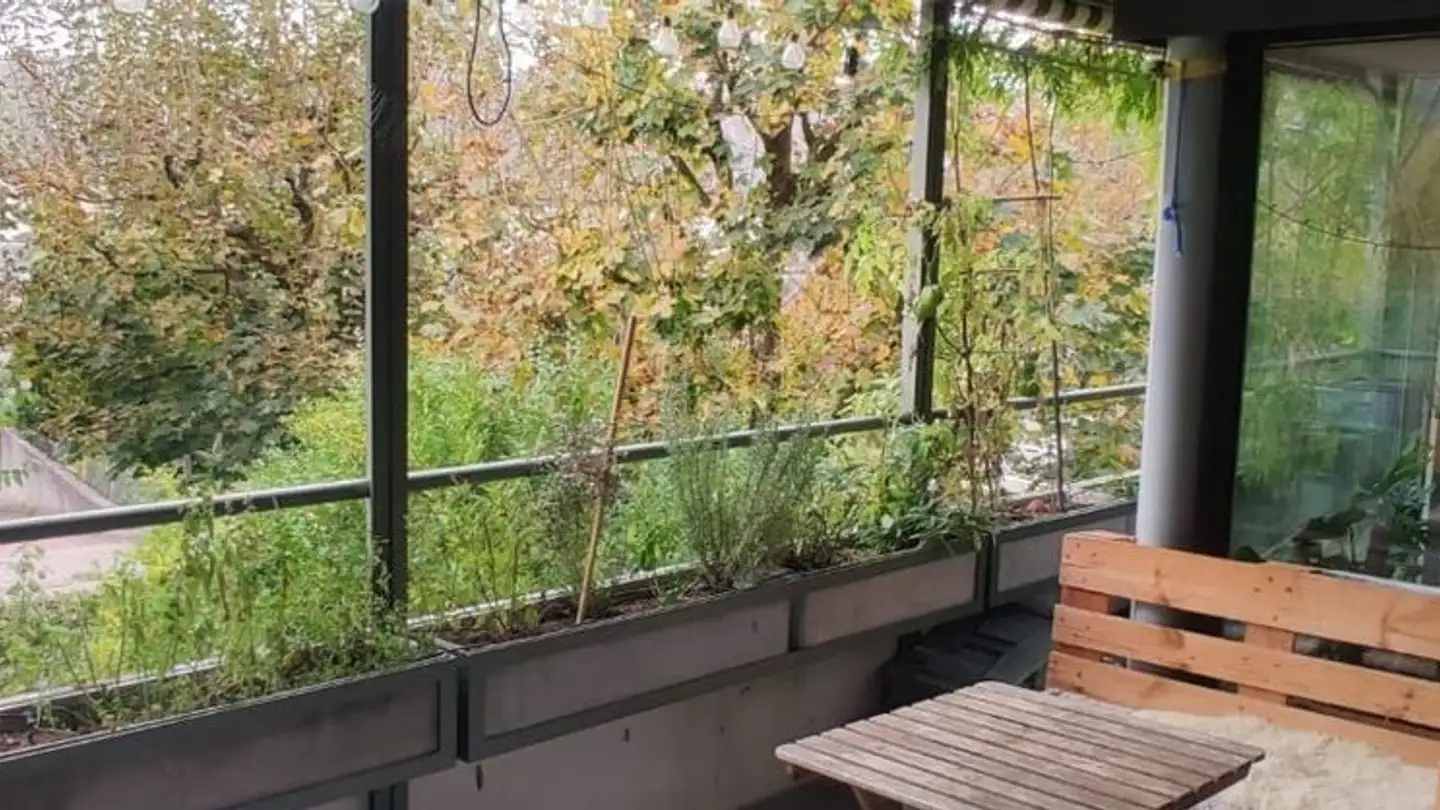 Chambre à louer - Hans-Hässig-Strasse 5b, 5000 Aarau - Photo 2